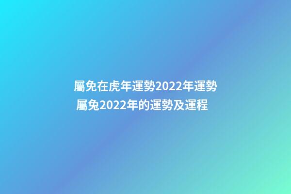 屬免在虎年運勢2022年運勢 屬兔2022年的運勢及運程-第1張-觀點-玄機派